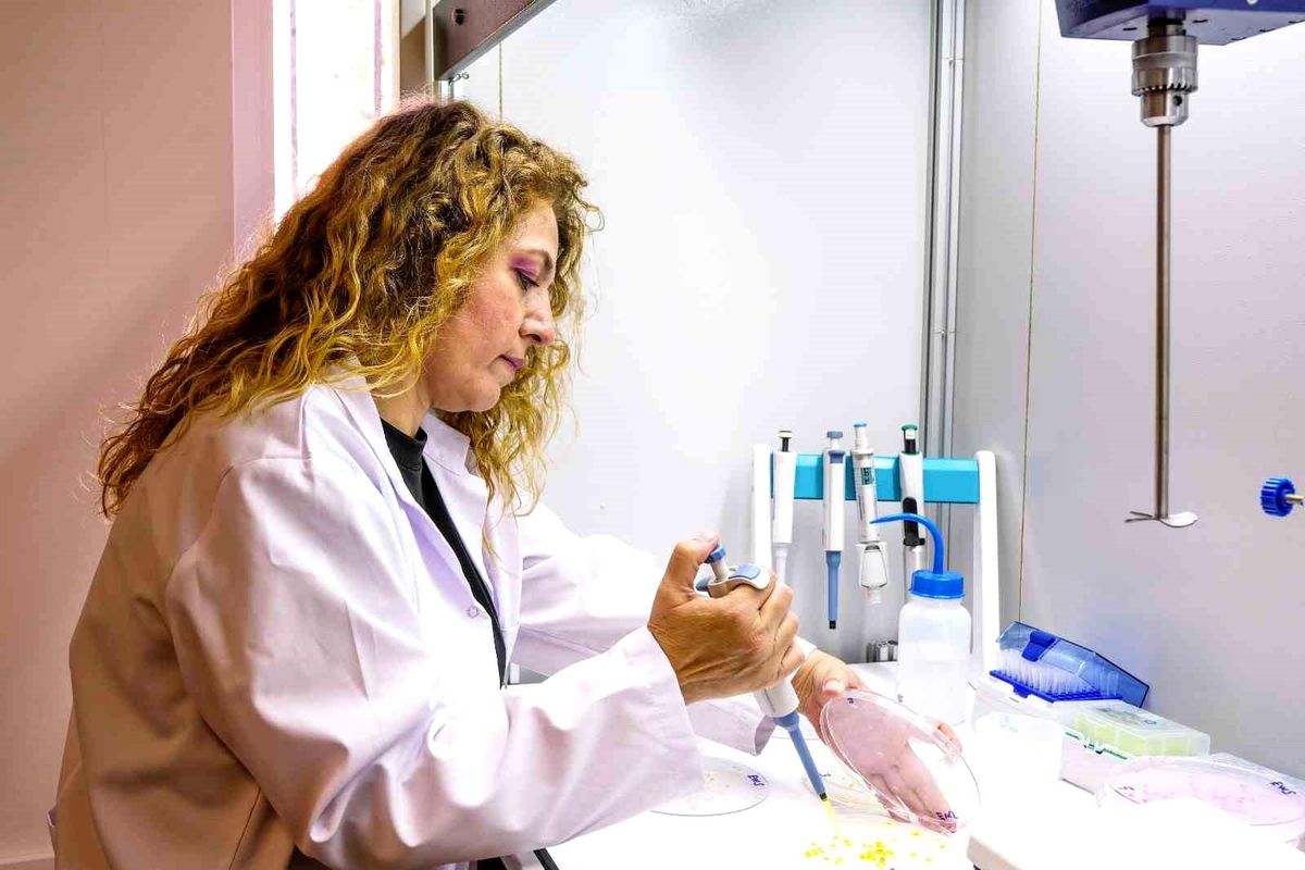 Tarımda kalite ve verimliliği güçlendiren yenilikçi test yöntemi