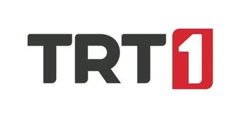 TRT 1 CANLI MAÇ İZLE (ALMANYA FİLDİŞİ SAHİLİ DÜNYA KUPASI) TRT 1 HD kesintisiz donmadan nasıl izlenir?