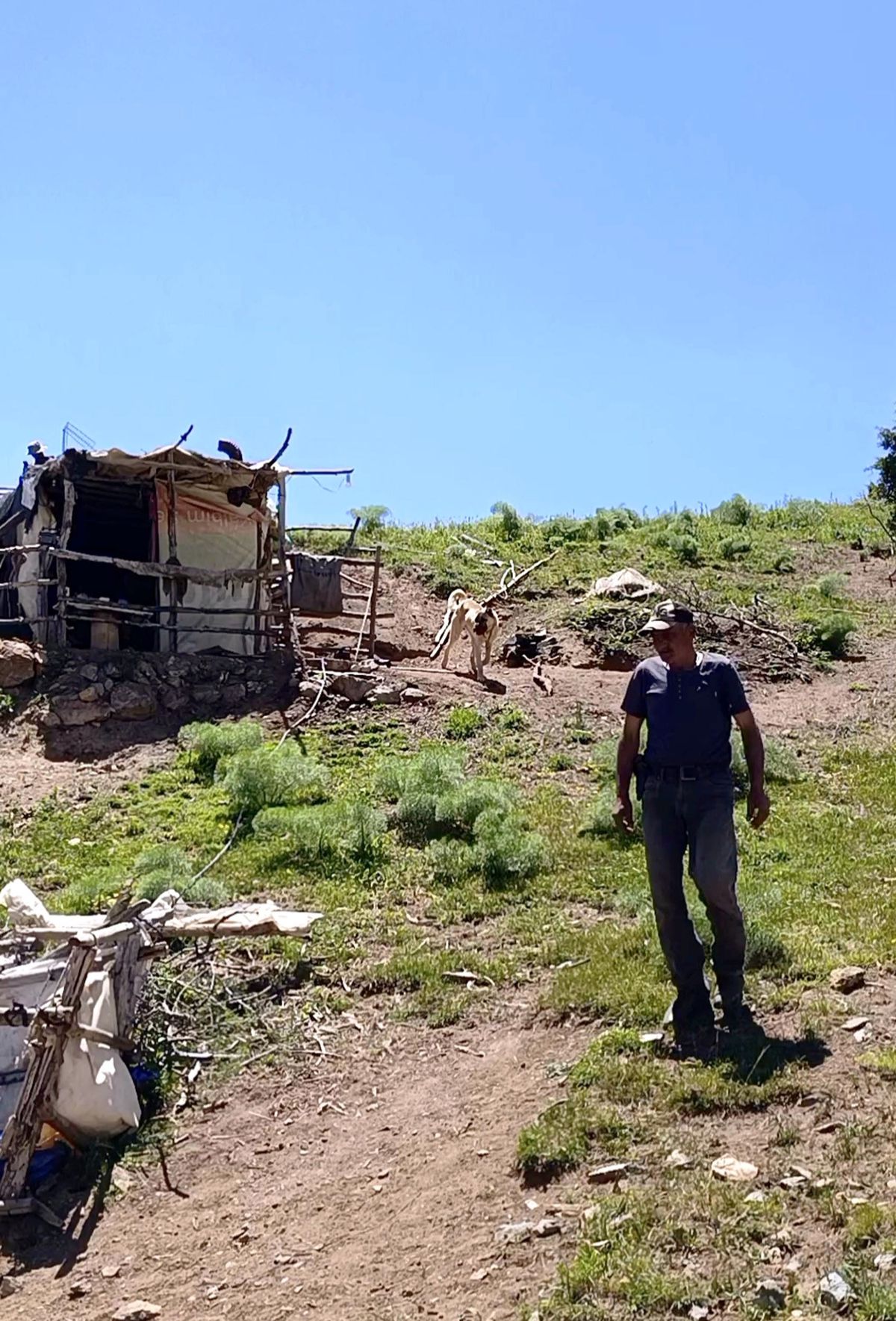 Erzincan'da 40 Yıldır Yaylada Yaşayan İbrahim Aydemir'in Doğa ile İç İçe Hayatı