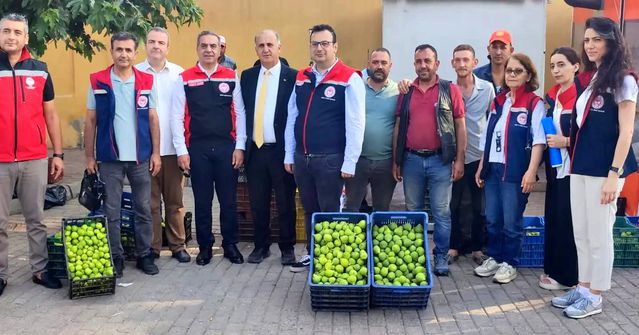 Aydın’ın dünya markası inciri için sahada yoğun mesai