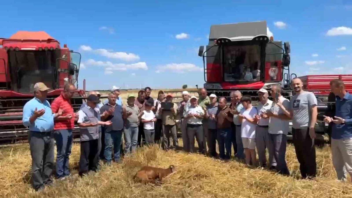 Edirne'de buğday hasadı dualarla başladı