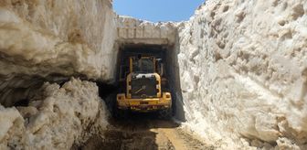 Hakkari'de haziranda karla mücadele çalışması
