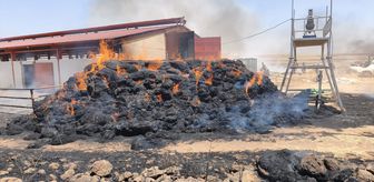 Mardin'de çıkan saman, ot, anız ve ekin yangınları söndürüldü