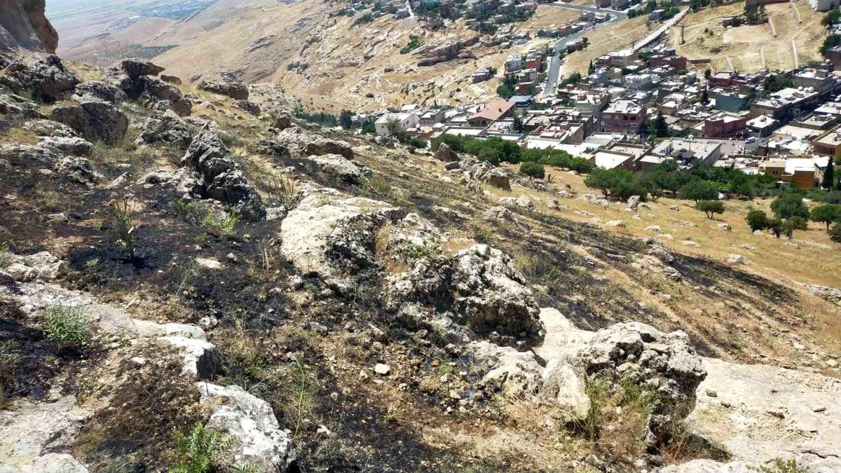 Mardin'de ormanlık alanda çıkan yangın söndürüldü