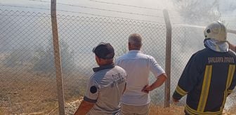 Şanlıurfa'da ağaçlık alanda çıkan yangın söndürüldü