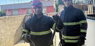 Adana'da evin bahçesine giren yılan doğaya bırakıldı