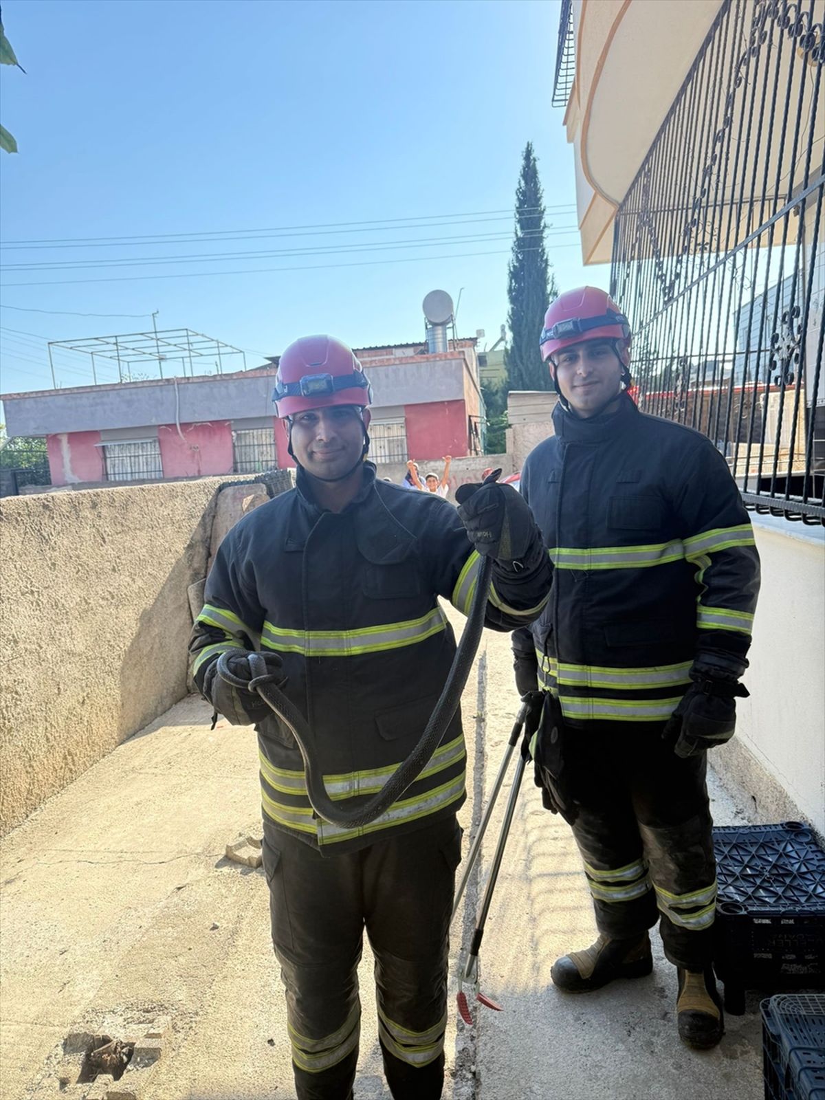 Adana'da evin bahçesine giren yılan doğaya bırakıldı