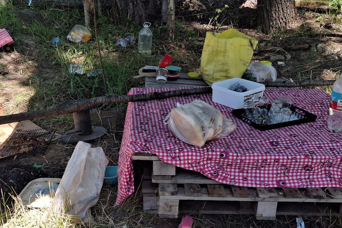 Piknikte tartıştığı eşini bıçaklayarak öldürdü