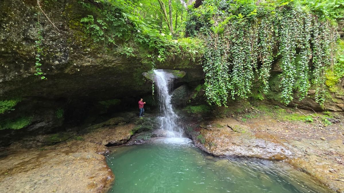Artvin'in 'Ormanın Yüzüğü' olarak adlandırılan şelalesi ziyaretçilerini ağırlıyor