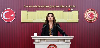 DEM Parti Grup Başkanvekili Koçyiğit gündemi değerlendirdi Açıklaması