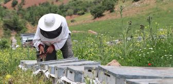 Devlet desteğiyle aldıkları çekme karavanla yayla yayla gezerek bal üretiyorlar