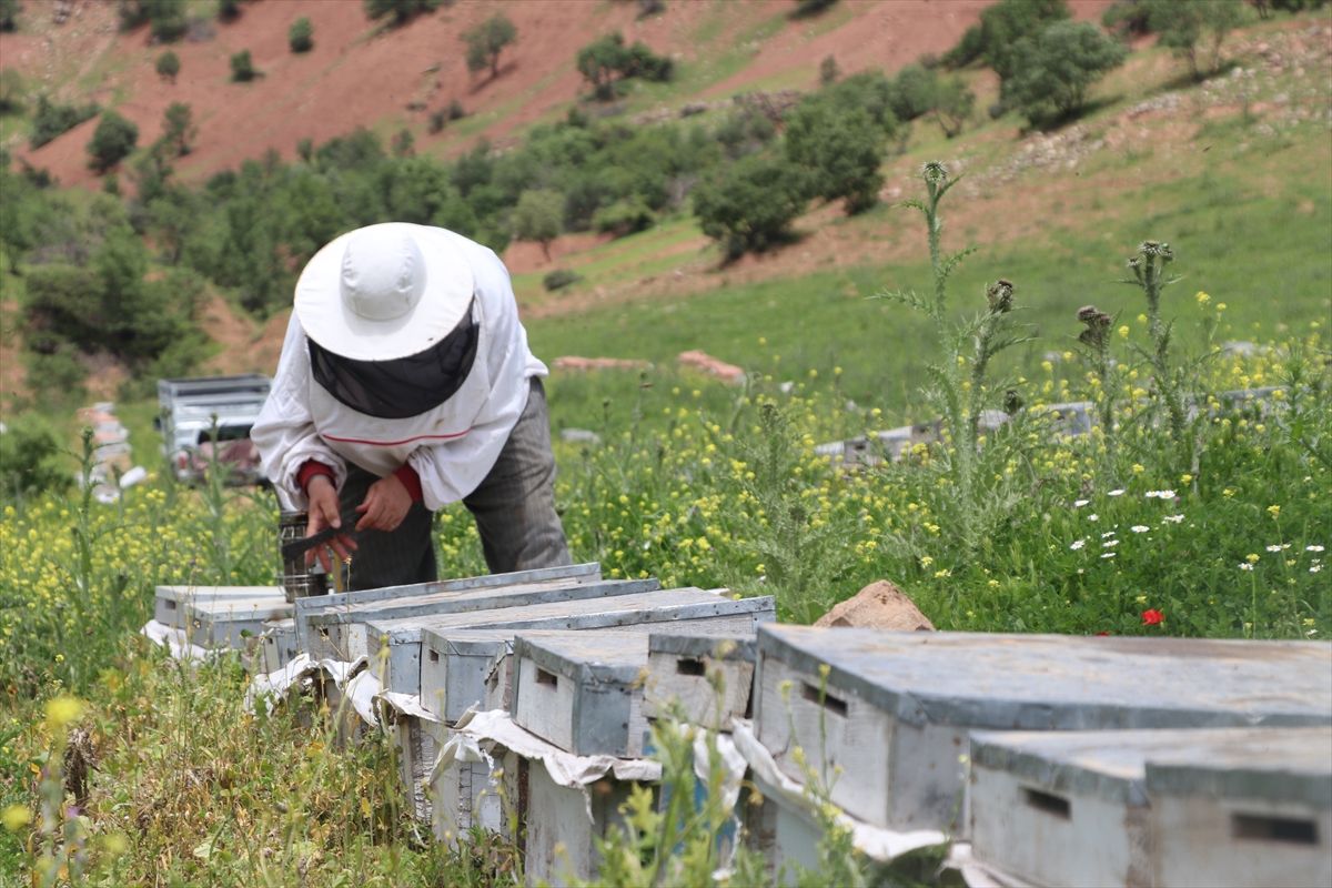 Devlet desteğiyle aldıkları çekme karavanla yayla yayla gezerek bal üretiyorlar