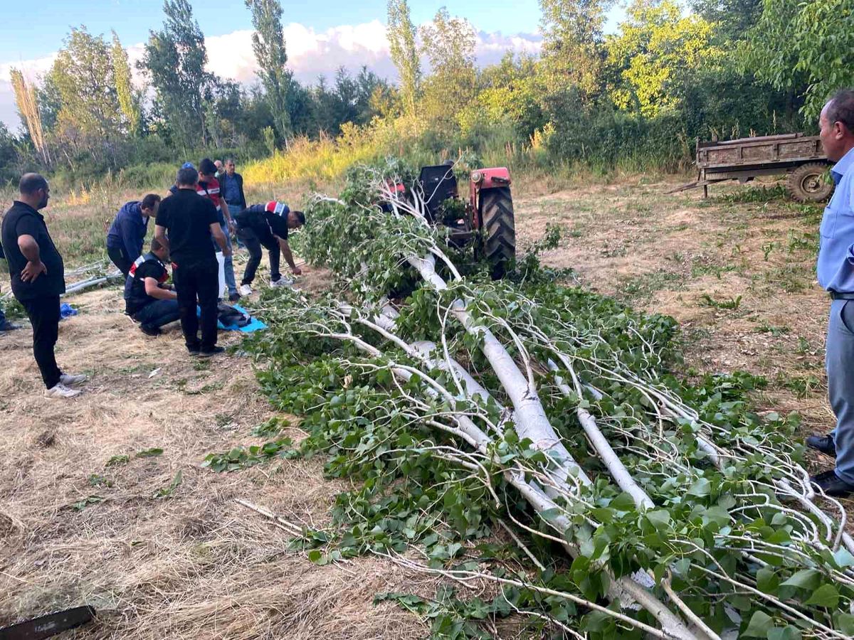 Isparta'da kestiği ağacın altında kalan adam hayatını kaybetti