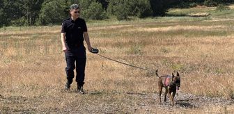Karabük'te üniversite öğrencisini arama çalışmalarında 45 kilometrelik alan tarandı