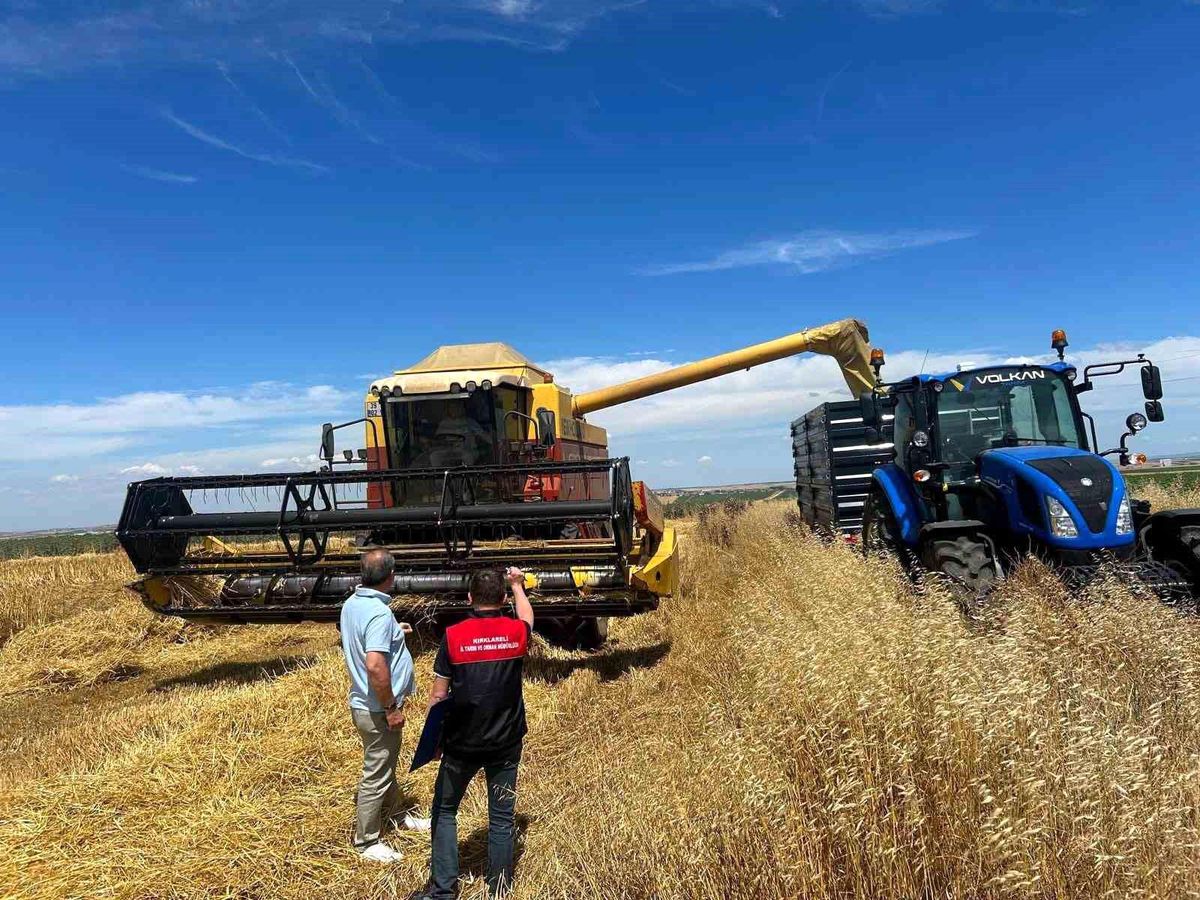 Kırklareli'nde hasat döneminde biçerdöver denetim