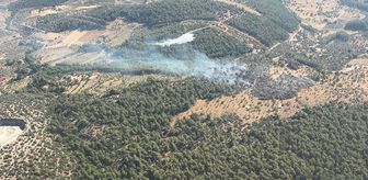 Muğla'da ziraat alanında çıkan yangın kontrol altına alındı