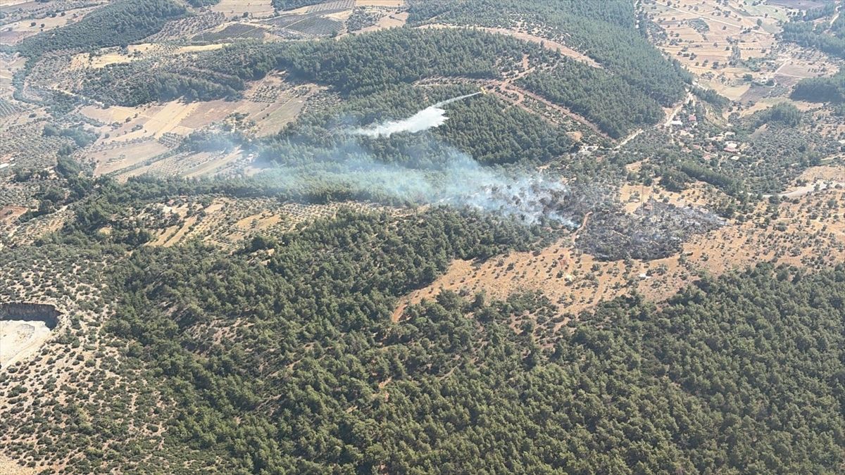 Milas'ta tarım arazisinde çıkan yangın kontrol altına alındı