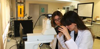 Öğrenciler yumurta kabuğunu geri dönüştürerek implantlarda kullanılabilecek biyomalzeme üretti