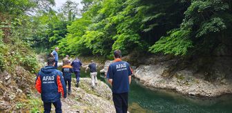 Ordu'da dereye düşen kişi öldü