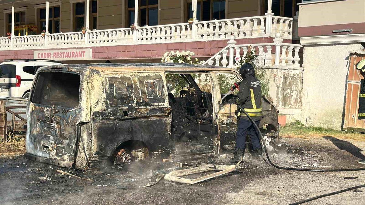 Park halindeki panelvan alevlere teslim oldu