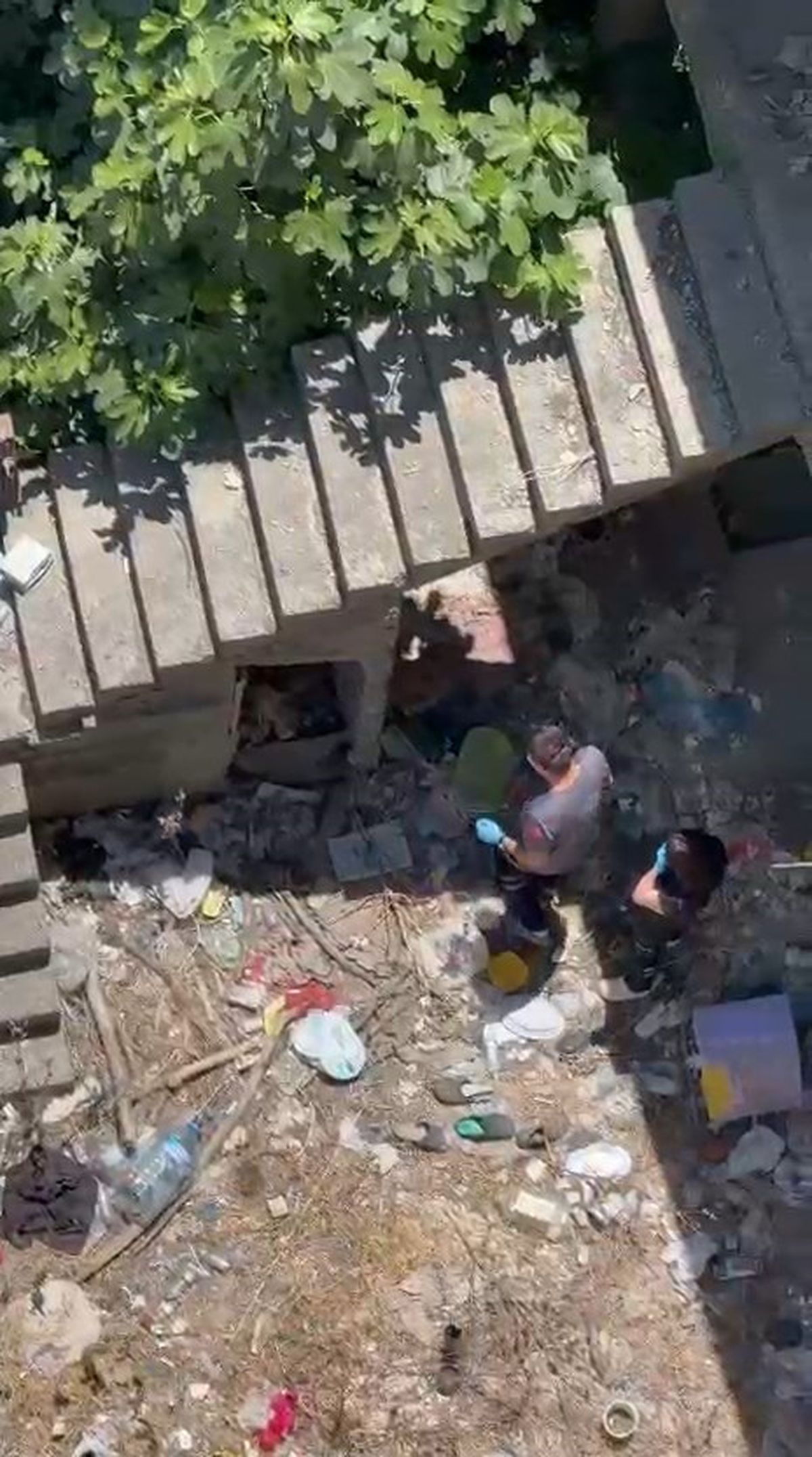 Sarıyer'de metruk bir binada bulunan erkek cesediyle ilgili polis incelemesi.