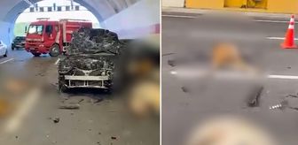 Tünelde ortalık savaş alanı! Araçlar hurdaya döndü, 10 inek telef oldu