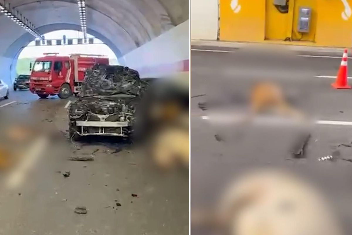Tünelde ortalık savaş alanı! Araçlar hurdaya döndü, 10 inek telef oldu