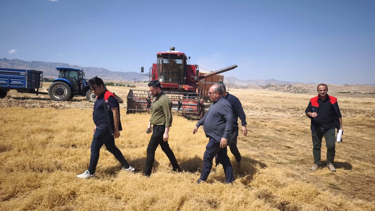 Silopi'de TAKE projesiyle atıl araziler üretime kazandırıldı