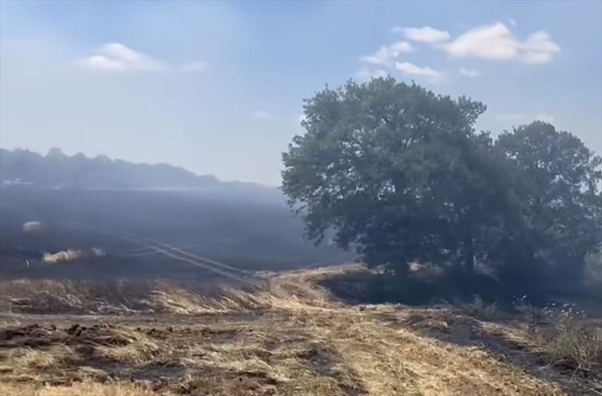 Tekirdağ'da 200 dekar buğday ekili alan yandı