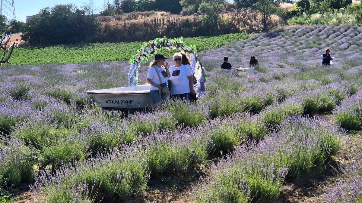 Tekirdağ'da mor lavanta tarlalarında düzenlenen 6. Lavanta Şenliği'nden genel bir görünüm.