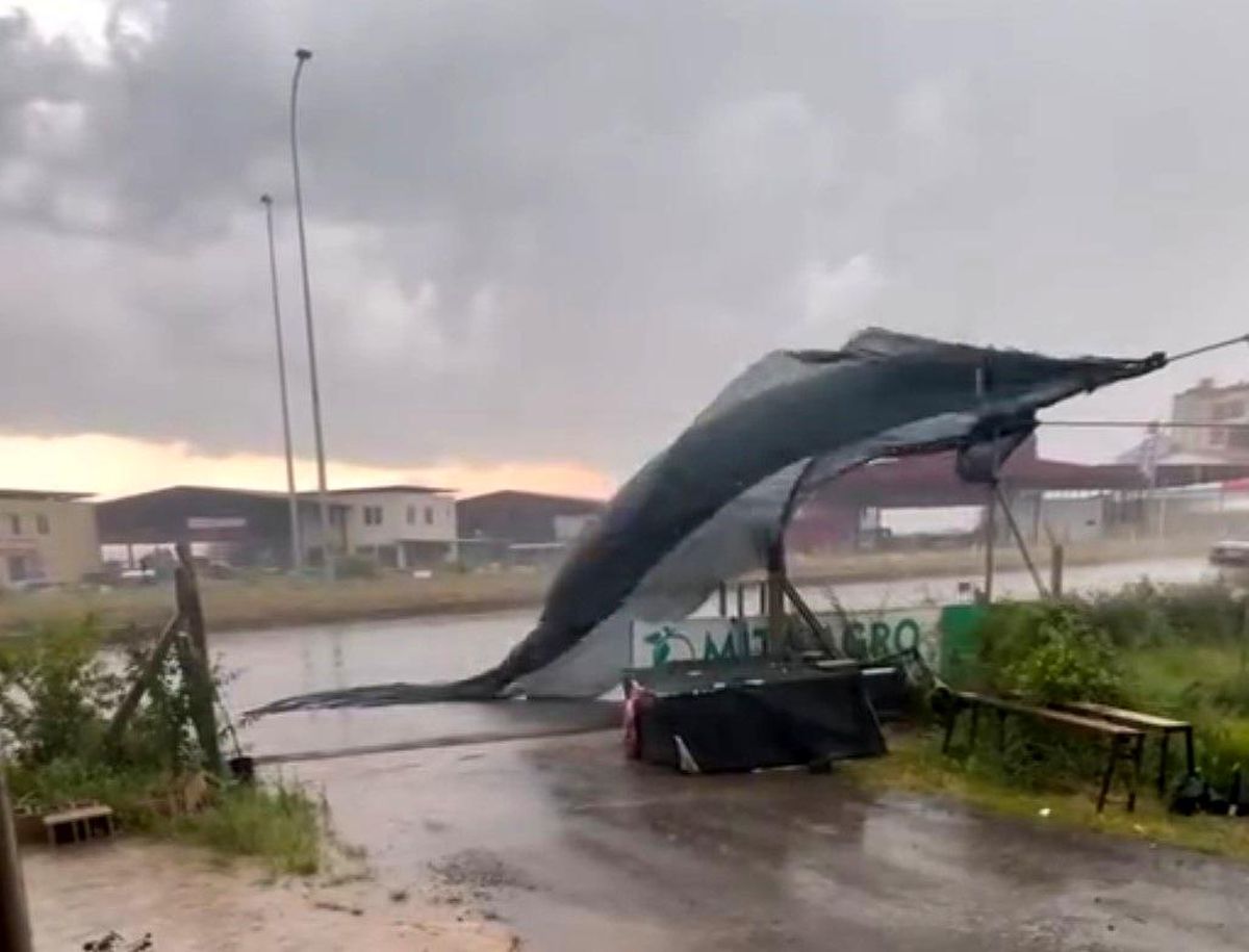 Adana'da kuvvetli rüzgar ve yağış ekili oldu, seralar zarar gördü