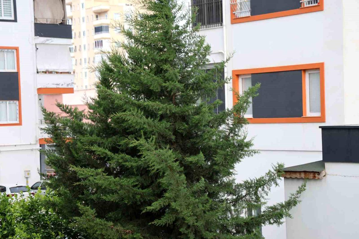 Adana'nın kuzey ilçelerinde kuvvetli rüzgar etkili oldu