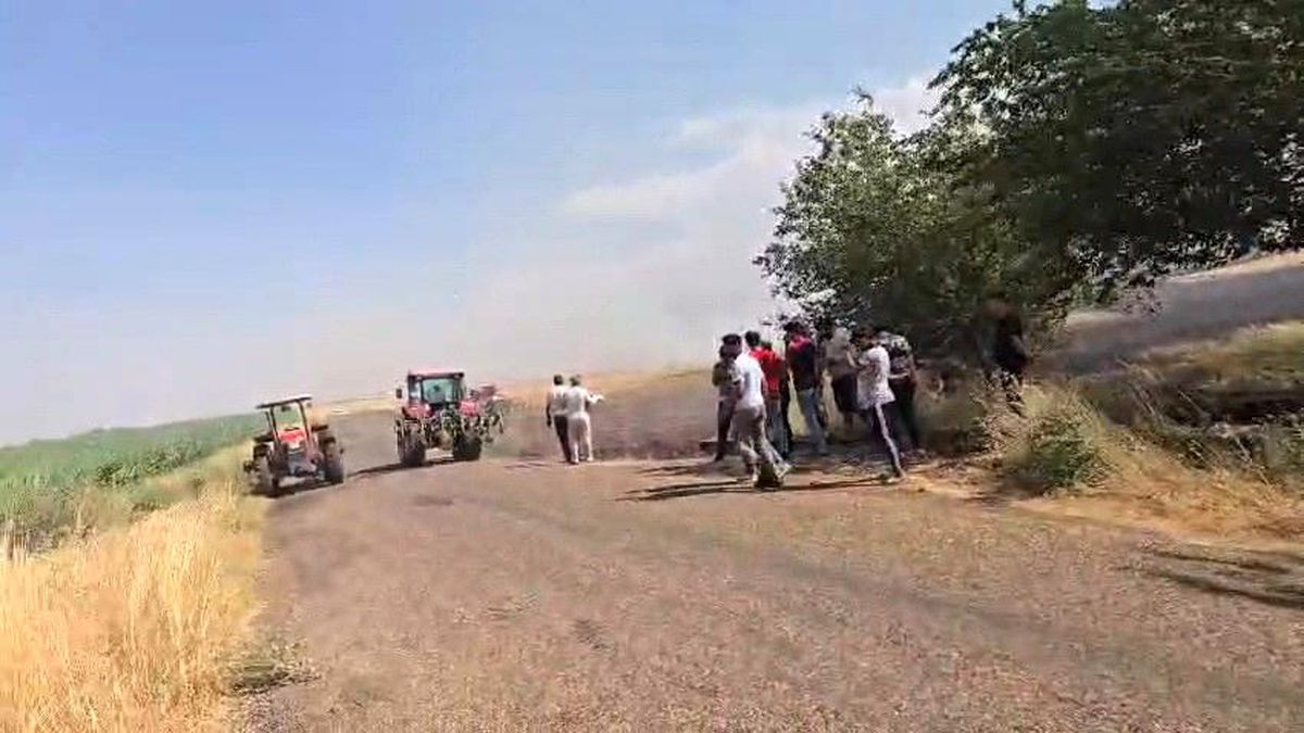 Adıyaman Besni'de çıkan anız yangınında zarar gören tarım arazileri