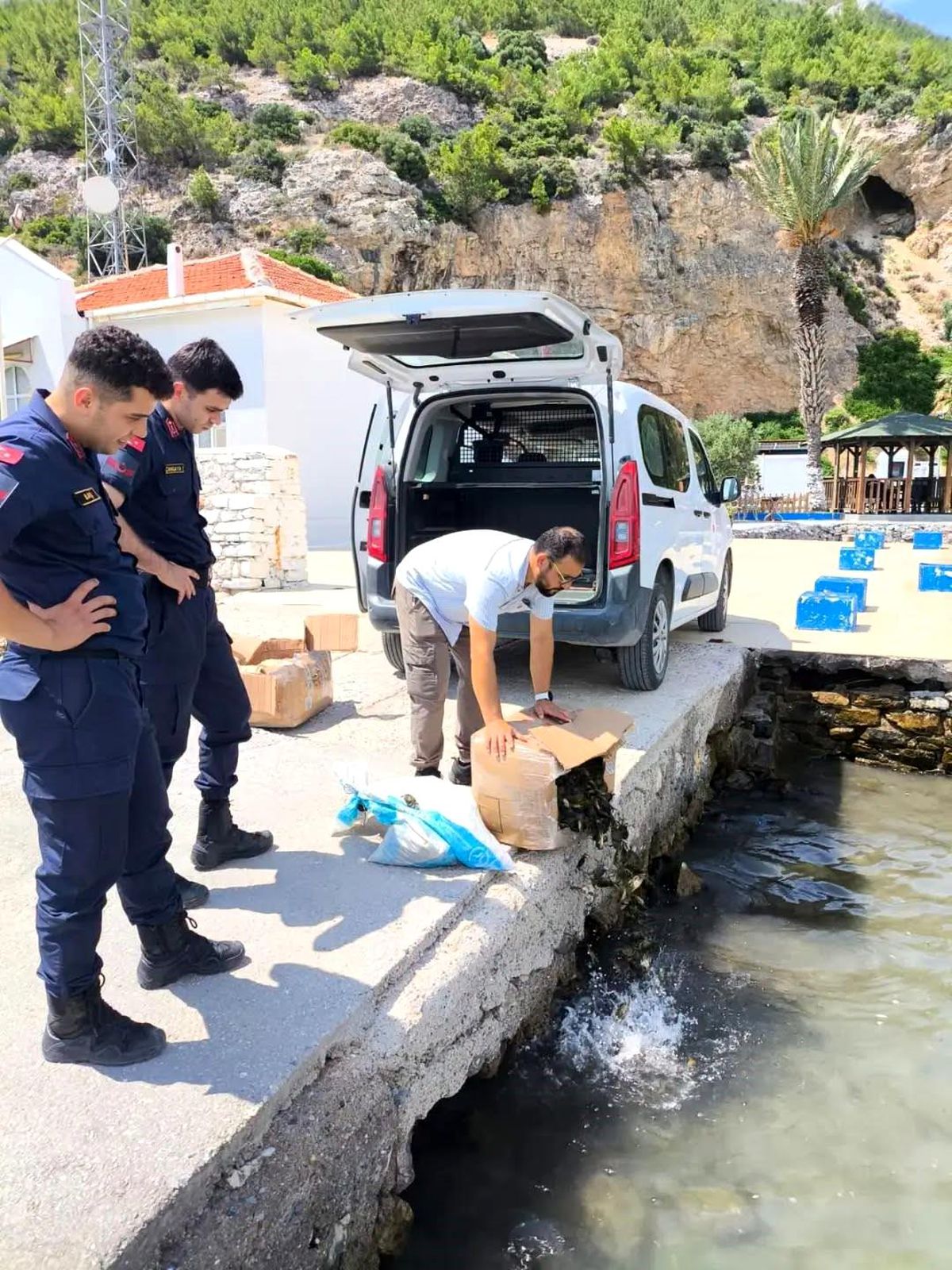 Aydın'da 60 kilo canlı yengeç ele geçirildi