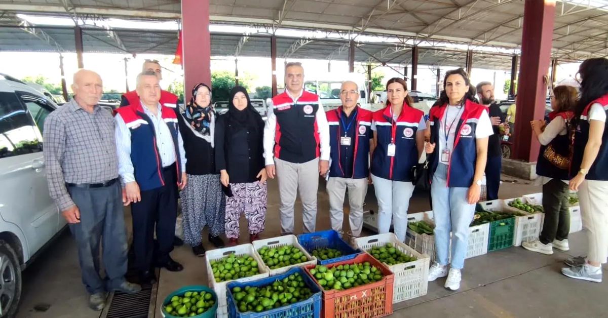Aydın inciri için denetimler sürüyor