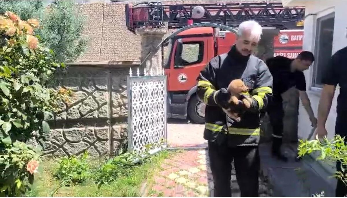 Batman'da fabrika duvarına sıkışan köpek kurtarıldı, işçiler hayvanı sahiplendi