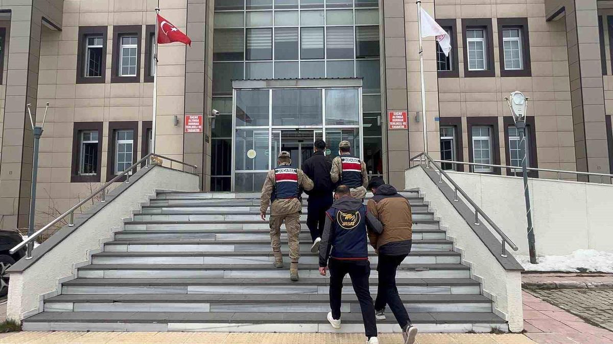 Bitlis'te göçmen kaçakçılığı operasyonu