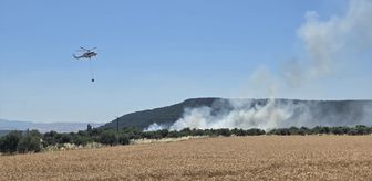 Çanakkale'de tarım arazisinde çıkan yangına müdahale ediliyor