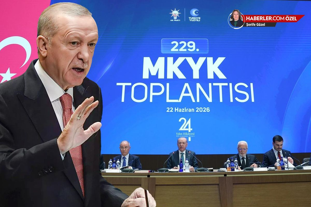 Cumhurbaşkanı Erdoğan'dan son dönemin en sert talimatı! Parti, meclis ve kabineye net çizgiler çekti