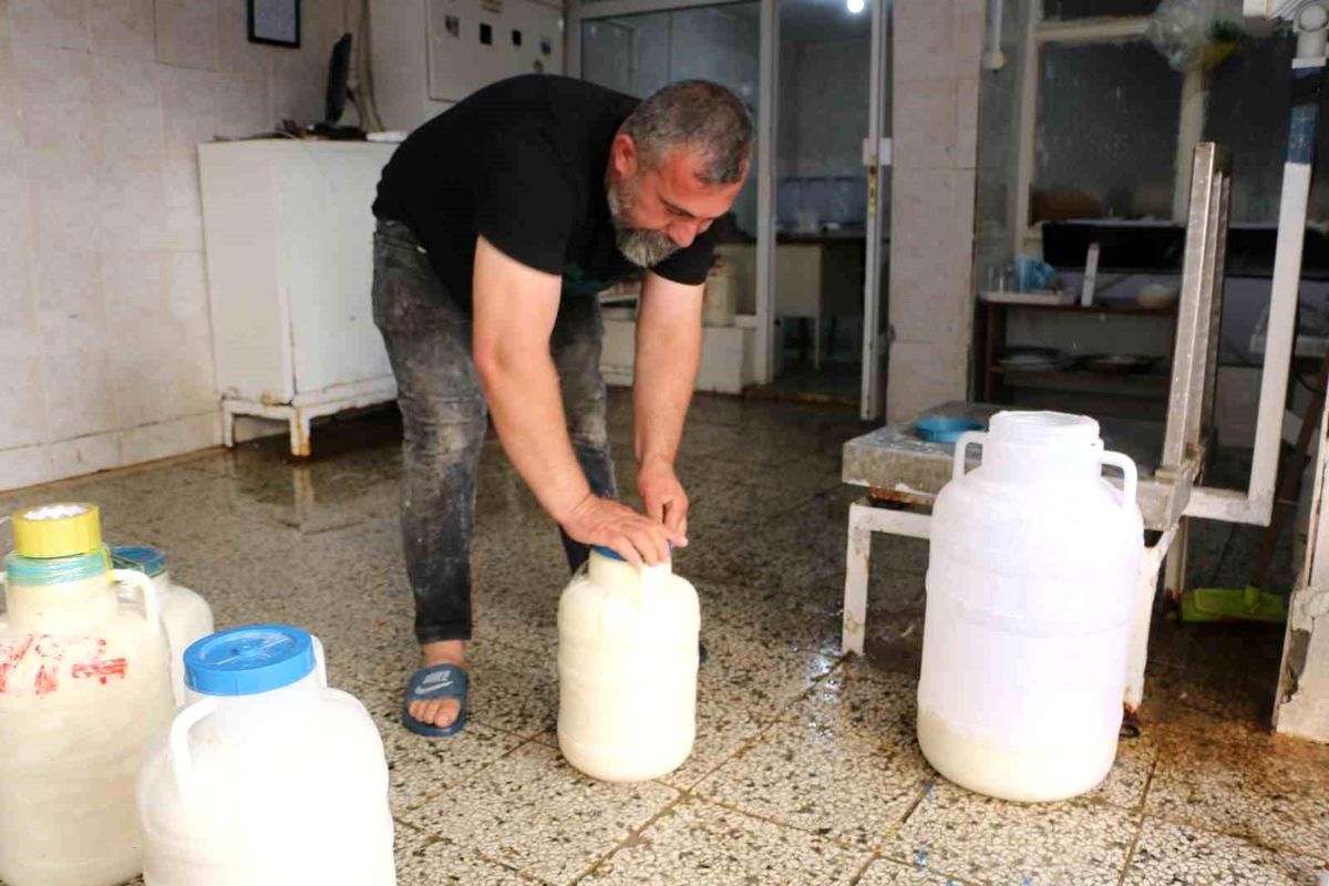Diyarbakır'da kışlık peynir mesaisi başladı