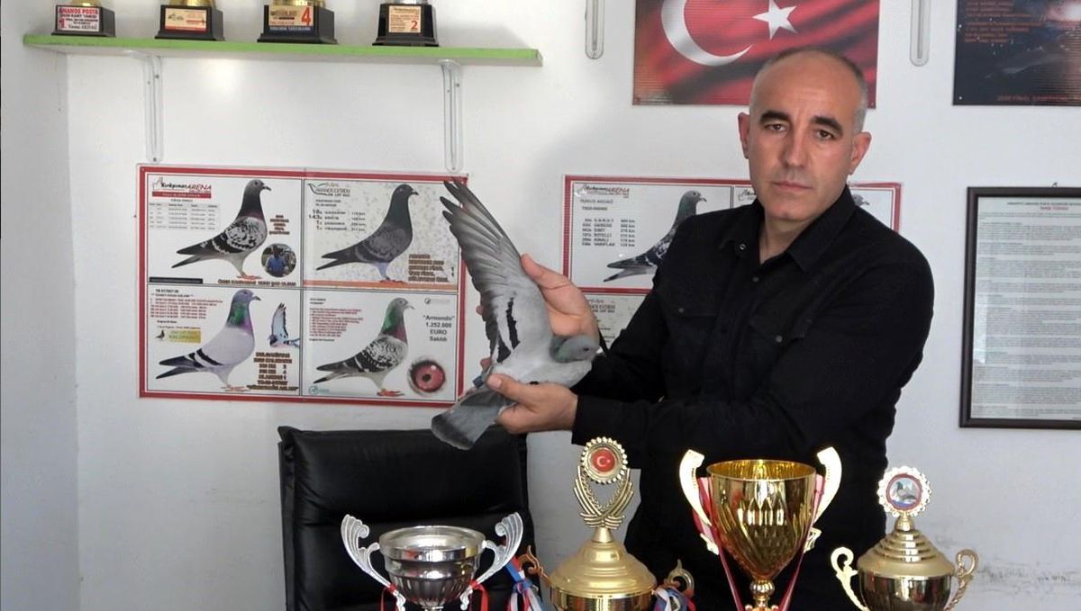 Ermenistan sınırından bırakılan güvercin bin kilometre yolu bir günde katederek evine döndü