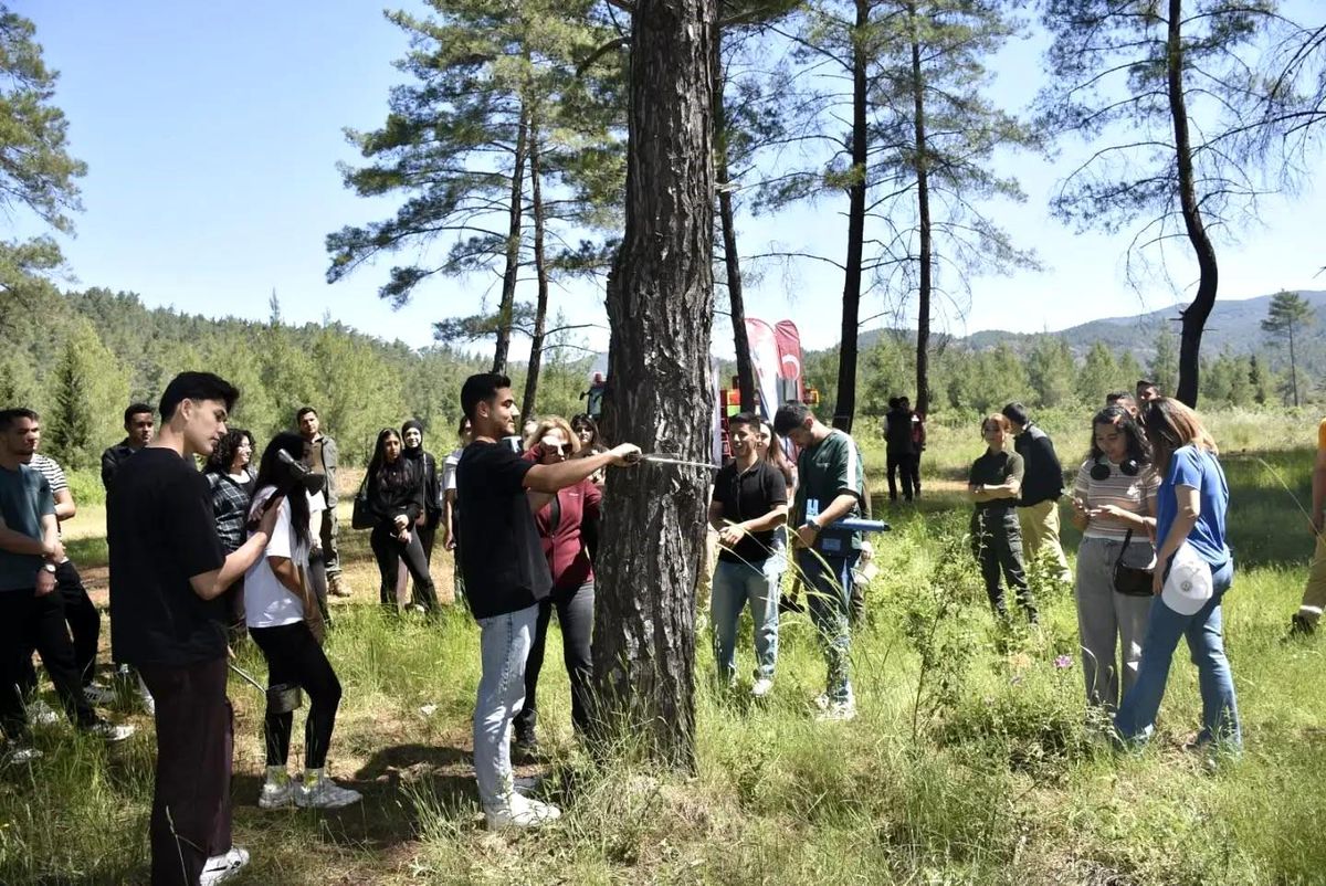 Köyceğiz'de Yüksekokul öğrencileri sahada uygulama yaptı