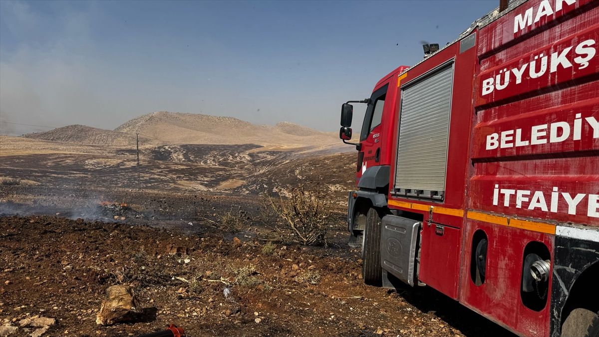 Mardin'de çıkan anız yangınına müdahale ediliyor