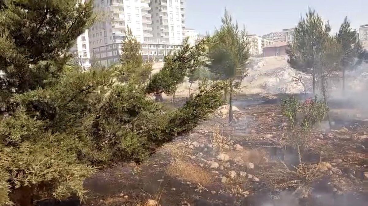 Mardin'de farklı noktalarda çıkan yangınlara müdahale sürüyor