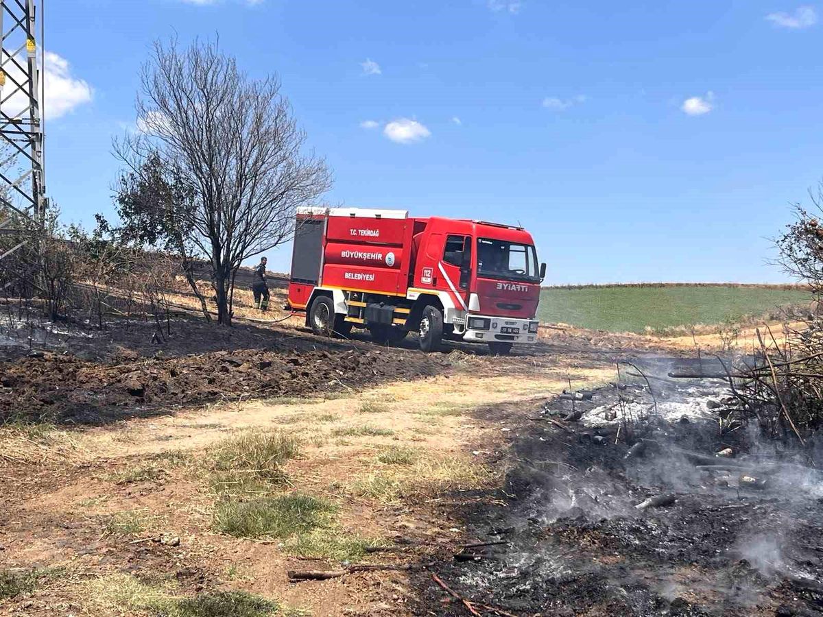 Tekirdağ'da 25 dönüm buğday ekili alan yandı