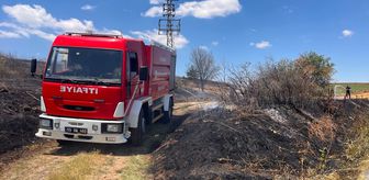 Tekirdağ'da 65 dekar tarım arazisi yangında zarar gördü