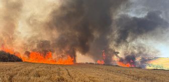 Tekirdağ'da buğday ekili tarlalarda çıkan yangına müdahale ediliyor