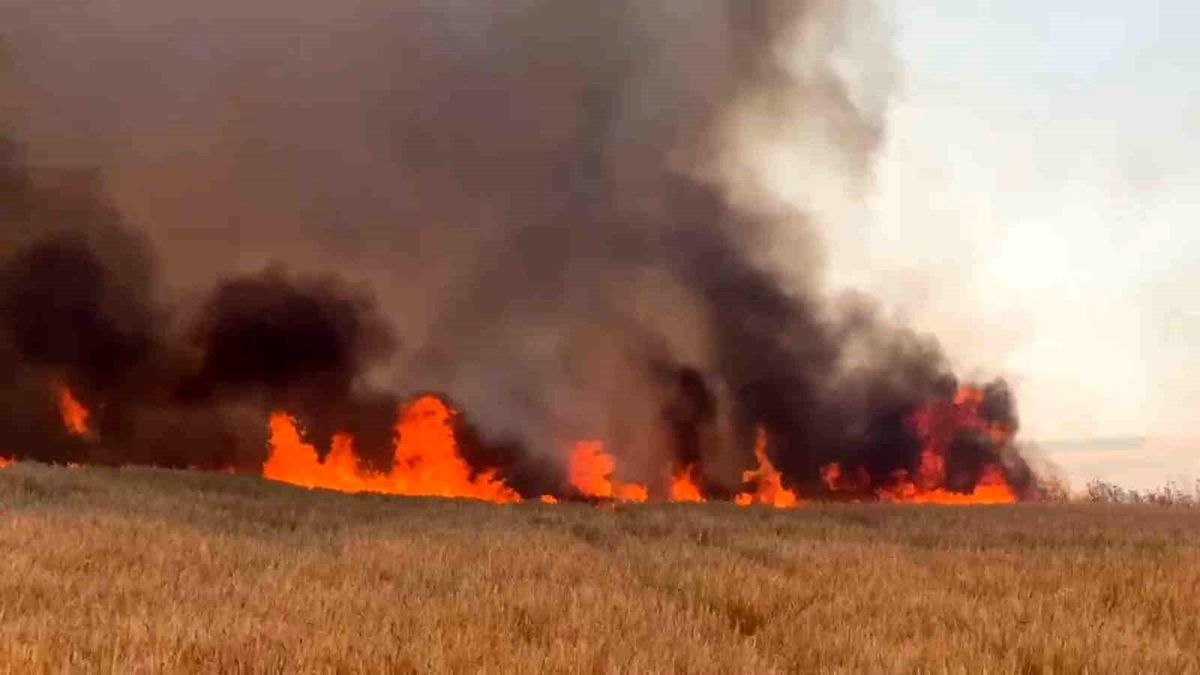 Tekirdağ'da buğday tarlalarına sıçrayan yangında 300 dönüm alan kül oldu