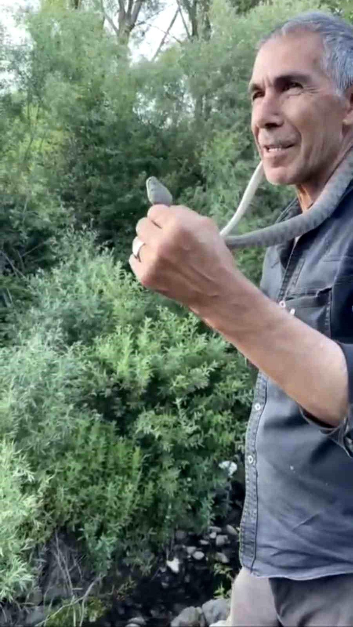 Bingöl'ün Solhan ilçesinde yakalanan engerek yılanı