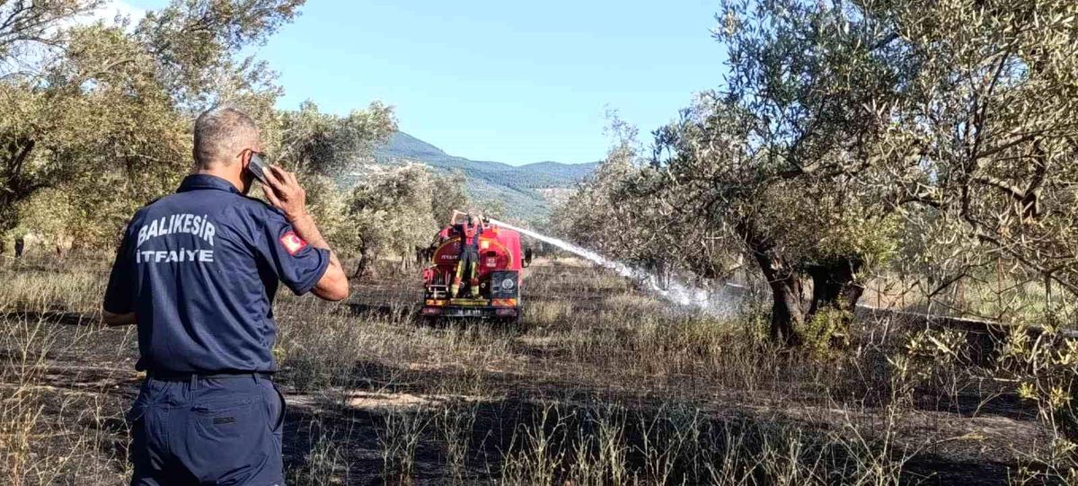 Balıkesir Ziraat Odası Başkanı Rahmi Demirbay, tarım arazilerinde yangın riskine karşı uyarılarda bulunuyor.